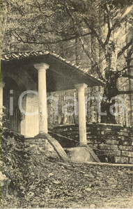 Cartolina originale da collezione 1922 VALLOMBROSA FI Il faggio santo di San GIOVANNI GUALBERTO Cartolina FP VG 1
