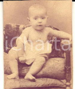 Fotografia d epoca originale 1900 ca MILANO Carla CODEBO  nei primi mesi di vita Foto PACCHIONI 4,7x5,7 1