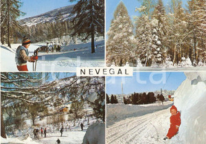 Cartolina originale da collezione 1970 BELLUNO Bambini sull  Alpe del Nevegal Vedutine DOLOMITI Cartolina FG VG 1