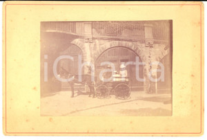 Fotografia d epoca originale 1880 ca AREA LOMBARDA Bambino cocchiere guida calesse con asino Fotografia 1
