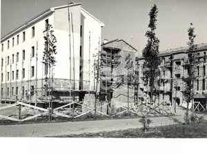 Fotografia d'epoca originale 1955 ca VIGEVANO (PV) Costruzione dei nuovi edifici popolari *Fotografia 1