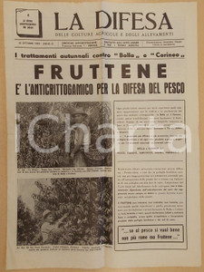 Giornale, rivista storica 1959 LA DIFESA Trattamento FRUTTENE per il pesco contro BOLLA e CORINEO 1