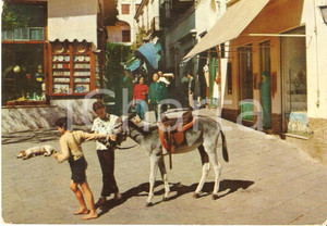 Cartolina originale da collezione 1958 NAPOLI NA Scugnizzi trascinano asino per la piazza Cartolina FG VG 1