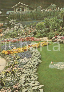 Cartolina originale da collezione 1976 GENOVA Fiera EUROFLORA Battista Frattini e figli VARESE Cartolina FG NV 1