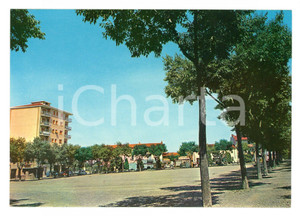 Cartolina originale da collezione 1965 ca CASSINE (AL) Veduta Piazza ITALIA *Cartolina VINTAGE FG NV 1