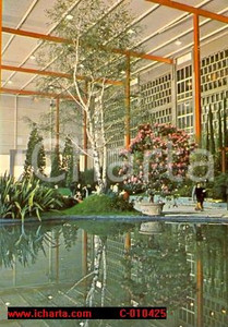 Cartolina originale da collezione 1976 GENOVA Fiera EUROFLORA Esposizione fiori Betulla ANIMATA Cartolina 3 1