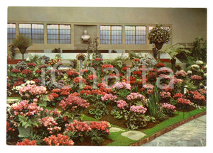 Cartolina originale da collezione 1961 TORINO Esposizione Internazionale FIORI DEL MONDO Cartolina VINTAGE FG NV 1
