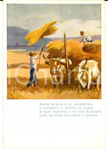 Cartolina originale da collezione 1950 ca Cassa di Risparmio PROVINCIE LOMBARDE  Contadini Cartolina ILLUSTRATA 1