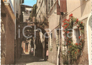 Cartolina originale da collezione 1975 ca GARDA VR Via caratteristica con trattoria Cartolina FG NV 1