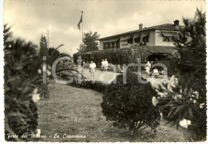 Cartolina originale da collezione 1953 FORTE DEI MARMI (LU) La CAPANNINA di FRANCESCHI *Cartolina ANIMATA FG VG 1