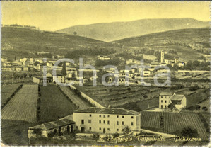 Cartolina originale da collezione 1960 SANT AMBROFIO VALPOLICELLA VR Veduta panoramica del paese Cartolina FG VG 1