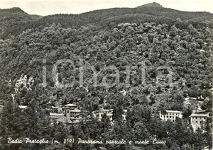 Cartolina originale da collezione 1956 BADIA PRATAGLIA AR Panorama e monte CUCCO Cartolina postale FG VG 1