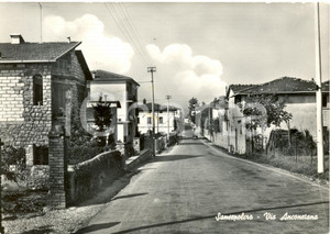 Cartolina originale da collezione 1982 SANSEPOLCRO AR Veduta della via Anconetana Cartolina animata FG VG 1