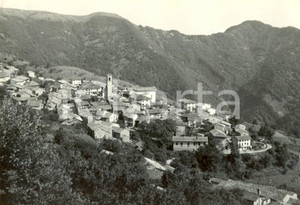 Cartolina originale da collezione 1972 FAEDIS UD Panorama di CANEBOLA Cartolina postale FG VG 1