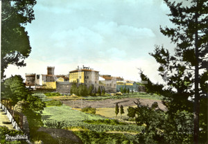 Cartolina originale da collezione 1960 ca POPULONIA LI Panorama della cittadina  Cartolina FG NV 1