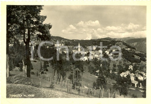 Cartolina originale da collezione 1951 TONEZZA DEL CIMONE (VI) Panorama del paese *Cartolina postale FG VG 1