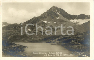 Cartolina originale da collezione 1930 PASSO DI GAVIA SO Lago BIANCO e CORNO DEI TRE SIGNORI Cartolina FP VG 1