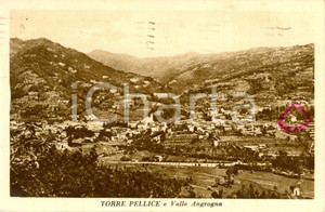 Cartolina originale da collezione 1948 TORRE PELLICE TO Panorama con la valle ANGROGNA Cartolina postale FP VG 1
