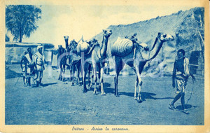 Cartolina originale da collezione 1936 ERITREA AOI Una carovana di cammelli entra nel villaggio *Cartolina ANIMATA 1