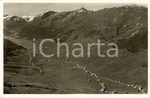 Cartolina originale da collezione 1934 LIVIGNO (SO) Veduta panoramica paese e vallata *Cartolina postale FP VG 1