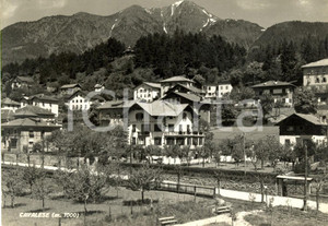 Cartolina originale da collezione 1915 CAVALESE TN Veduta Albergo MONTE BELLO e paese Cartolina postale FG VG 1