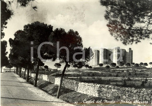 Cartolina originale da collezione 1958 ANDRIA BT Strada alberata nei pressi di CASTEL DEL MONTE Cartolina VG 1