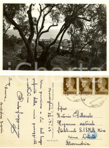 Cartolina originale da collezione 1943 BORDIGHERA IM Panorama con ulivi Cartolina Paolo SCAPPARONE FP VG 1