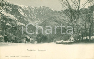 Cartolina originale da collezione 1930 ca ANGROGNA TO Uomo con cane al pascolo delle vacche Cartolina FP NV 1
