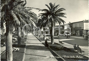 Cartolina originale da collezione 1956 VIAREGGIO (LU) Scorcio di Viale DELLE PALME *Cartolina ANIMATA FG VG 1