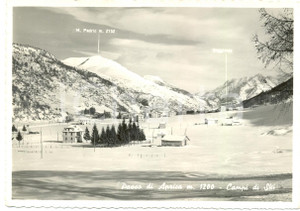 Cartolina originale da collezione 1950 ca PASSO DELL APRICA SO Campi sci Seggiovia Monte PEDRIO Cartolina FG NV 1
