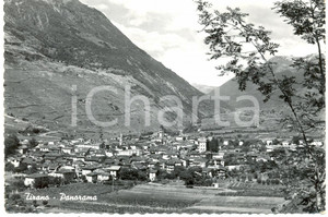 Cartolina originale da collezione 1956 TIRANO SO Veduta panoramica del paese e della valle Cartolina FG VG 1