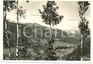 Cartolina originale da collezione 1953 PASSO DELL'APRICA (SO) Veduta paese valle LAVAZZA Cima SANTO STEFANO *FG VG 1