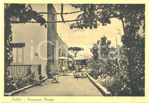 Cartolina originale da collezione 1940 ca ISCHIA NA Terrazza Pensione PINETA Cartolina ANIMATA FG NV 1