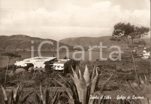 Cartolina originale da collezione 1958 ISOLA D'ELBA (LI) Golfo di LAVONA *Cartolina FG VG 1