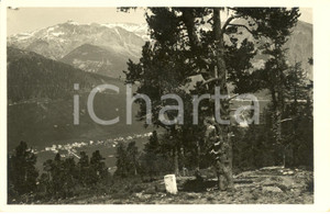 Cartolina originale da collezione 1950 ca LIVIGNO (SO) Veduta panoramica della VAL di LIVIGNO * Cartolina FP NV 1