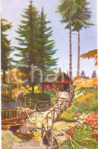 Cartolina originale da collezione 1925 ca BULGARIA Pinete del monte VITOCHA - Opera PRO ORIENTE *Cartolina FP NV 1