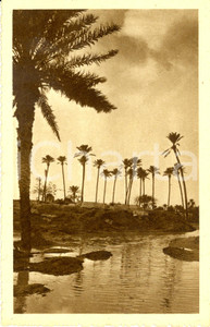 Cartolina originale da collezione 1930 ca TRIPOLI LIBIA Sciara Sciat Cartolina MISSIONE FRANCESCANA LOMBARDA NV 1