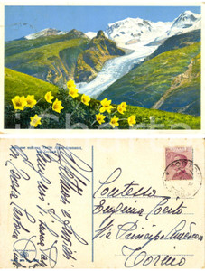 Cartolina originale da collezione 1914 ZERMATT Veduta con anemoni *Maria Teresa CARBONE SCOTTI a Eugenia COCITO 1