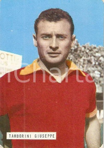 Oggetto da collezione cartaceo EDIZIONI FOTO CALCIO - CALCIATORI 1965 1966 Figurina Giuseppe TAMBORINI 164 ROMA 1