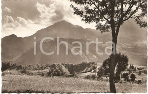 Cartolina originale da collezione 1946 BARZIO LC Tramonto sulla GRIGNA in VALSASSINA Cartolina FP VG 1