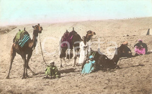 Cartolina originale da collezione 1912 Cammelli e indigeni in pausa nel deserto Cartolina FP VG 1
