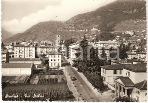 Cartolina originale da collezione 1962 SONDRIO Panorama di Via Stelvio Cartolina FG VG 1