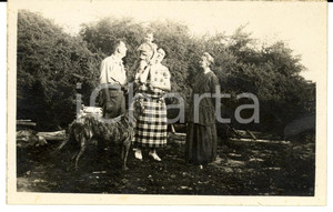Fotografia d'epoca originale 1915 ca MOGADISCIO (Somalia) Coloni italiani con il cane Bruto *Fotografia 1