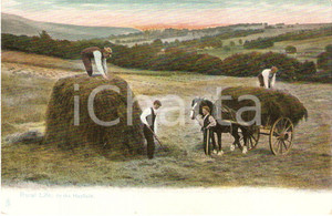 Cartolina originale da collezione 1910 UNITED KINGDOM - RURAL LIFE In the Hayfield *VINTAGE Postcard FP NV 1