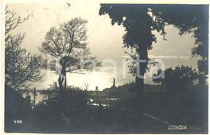 Cartolina originale da collezione 1924 GENOVA Veduta del mare dal parco *Cartolina animata FP VG 1