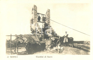 Cartolina originale da collezione 1920 ca TRIPOLI (LIBIA) Giardini di SOCRA - Indigeni al pozzo *FP NV 1