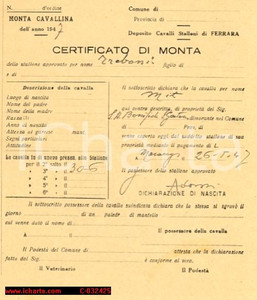 Oggetto da collezione cartaceo 1947 CERTIFICATO DI MONTA DI CAVALLA Ferrara 1