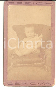Fotografia d'epoca originale 1890 ca GENOVA Bambino di pochi mesi su poltroncina *Foto SPEICH CDV 1