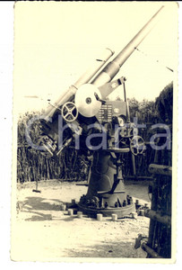 Cartolina originale da collezione 1940 ca WW2 Contraerea mimetizzata in un campo di granoturco *FOTO cartolina 1