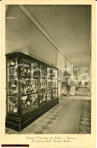 Cartolina originale da collezione Genova anni  40  Istituto Vittorino da Feltre NV 1